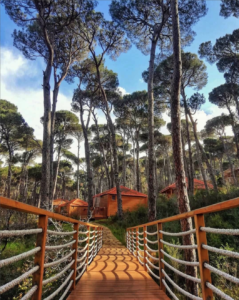 في احدى مناطق لبنان السياحية La Maison de la Forêt